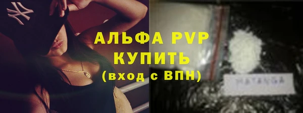 стафф Ладушкин