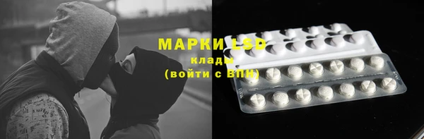 apvp Лиски