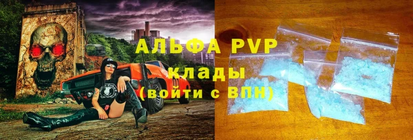 стафф Ладушкин