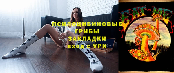 стафф Ладушкин