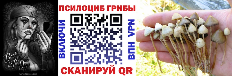 блэк спрут ССЫЛКА  Альметьевск  Псилоцибиновые грибы Magic Shrooms  купить закладку 