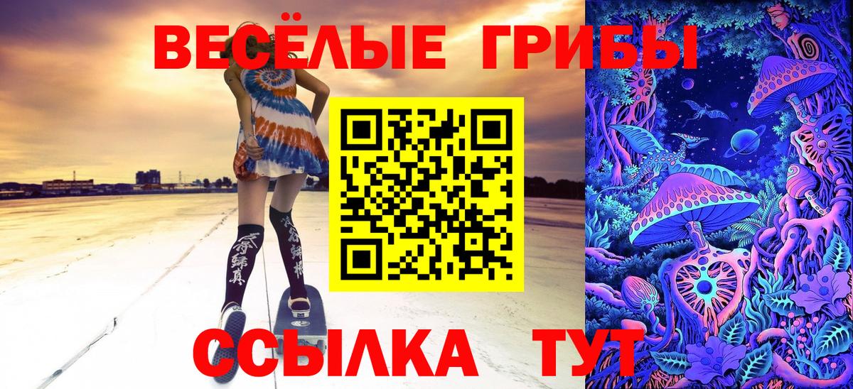 Псилоцибиновые грибы Cubensis  Альметьевск 