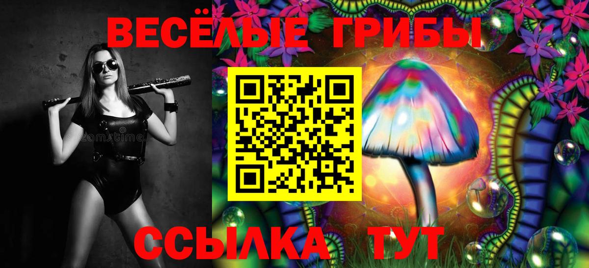 Альметьевск  Галлюциногенные грибы Psilocybine cubensis  Вход с VPN 
