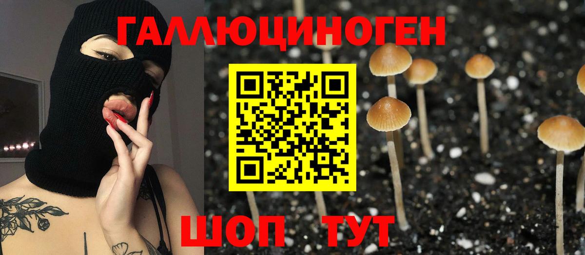 Галлюциногенные грибы MAGIC MUSHROOMS Альметьевск